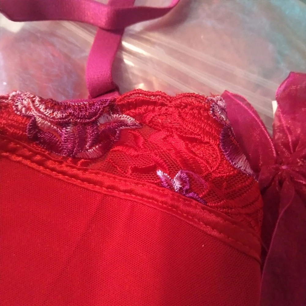 Rene Rofe Red Lace Bra - Picture 4 of 8